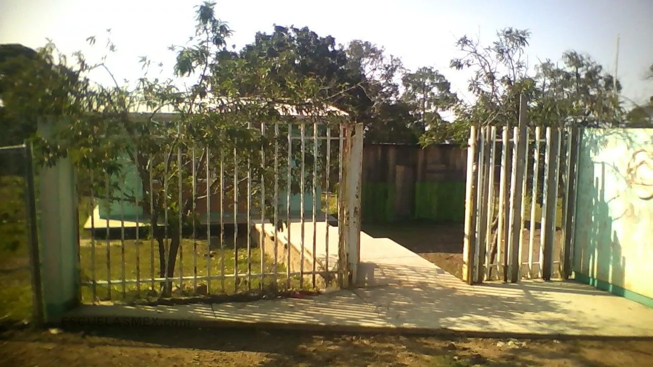 Yooxi Entrada
