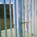 Rosaura Zapata Cano