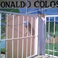 Luis Donaldo Colosio Murrieta