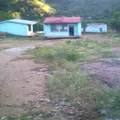 Cuitlahuac