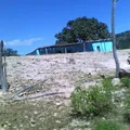 Cuauhtemoc