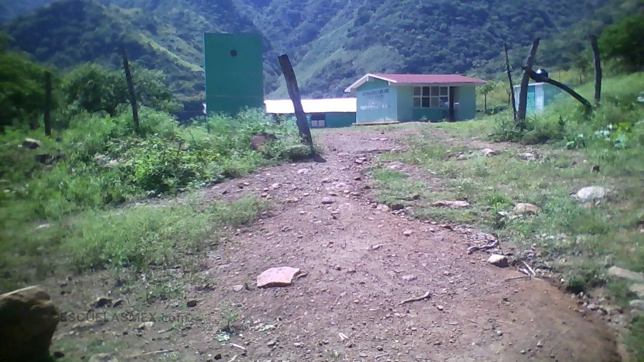 Niños Mejicaneros Entrada