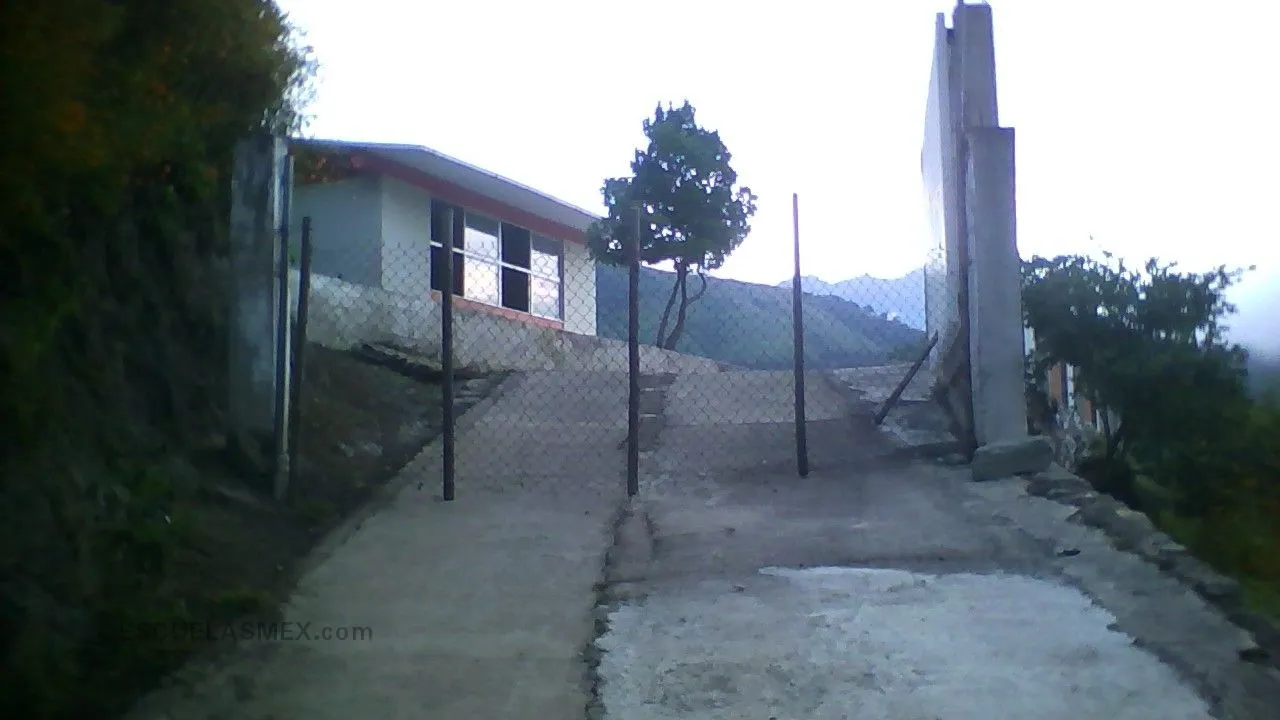 Ignacio Zaragoza Entrada