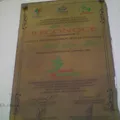 Telesecundaria Num. 44