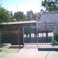 Profa. Ma Dolores Campillo Rincon