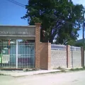 Profa. Delfina Arroyo