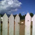 Preescolar Comunitario de Educacion Indigena Paepi