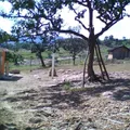 Preescolar Indigena