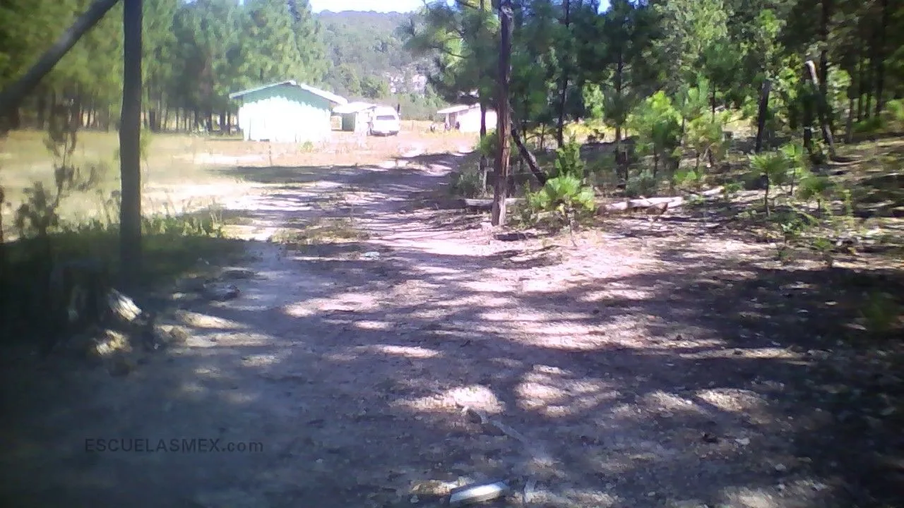 Preescolar Indigena Entrada