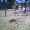Curso Comunitario de Educacion Indigena Paepi