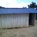 Primaria Indigena