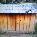 Primaria Indigena