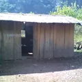 Primaria Indigena