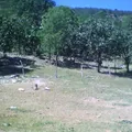 Primaria General