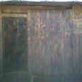 Primaria Indigena