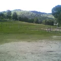 Primaria Indigena