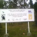 Primaria Comunitaria