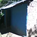 Primaria Comunitaria