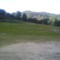 Secundaria