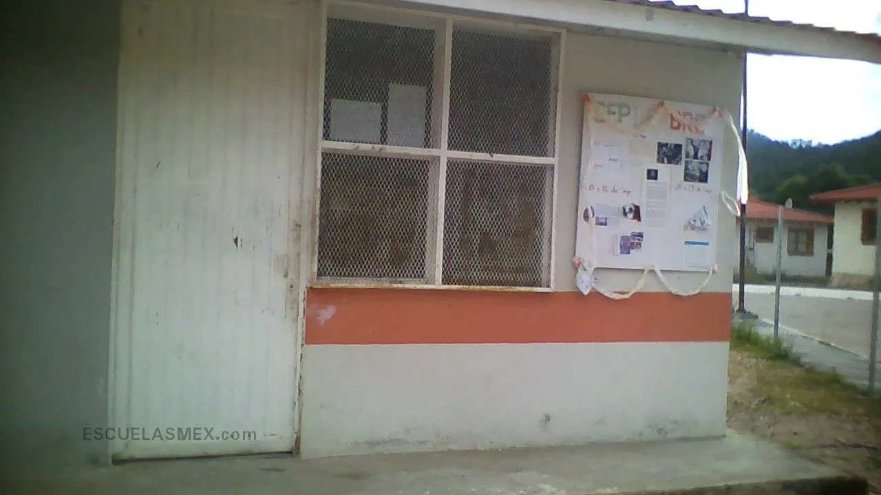Secundaria Comunitario Entrada