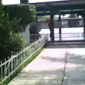 Escuela Secundaria General Rosario Castellanos