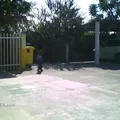 Justo Sierra