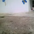 Antonio Plaza
