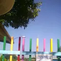 Juan Amos Comenio