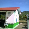 Fernando Montes de Oca