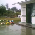 J. Jesus Mayagoita Jaime
