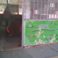 Guanajuato