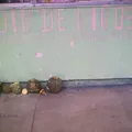Jaime Nuno