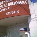 Francisco Gonzalez Bocanegra