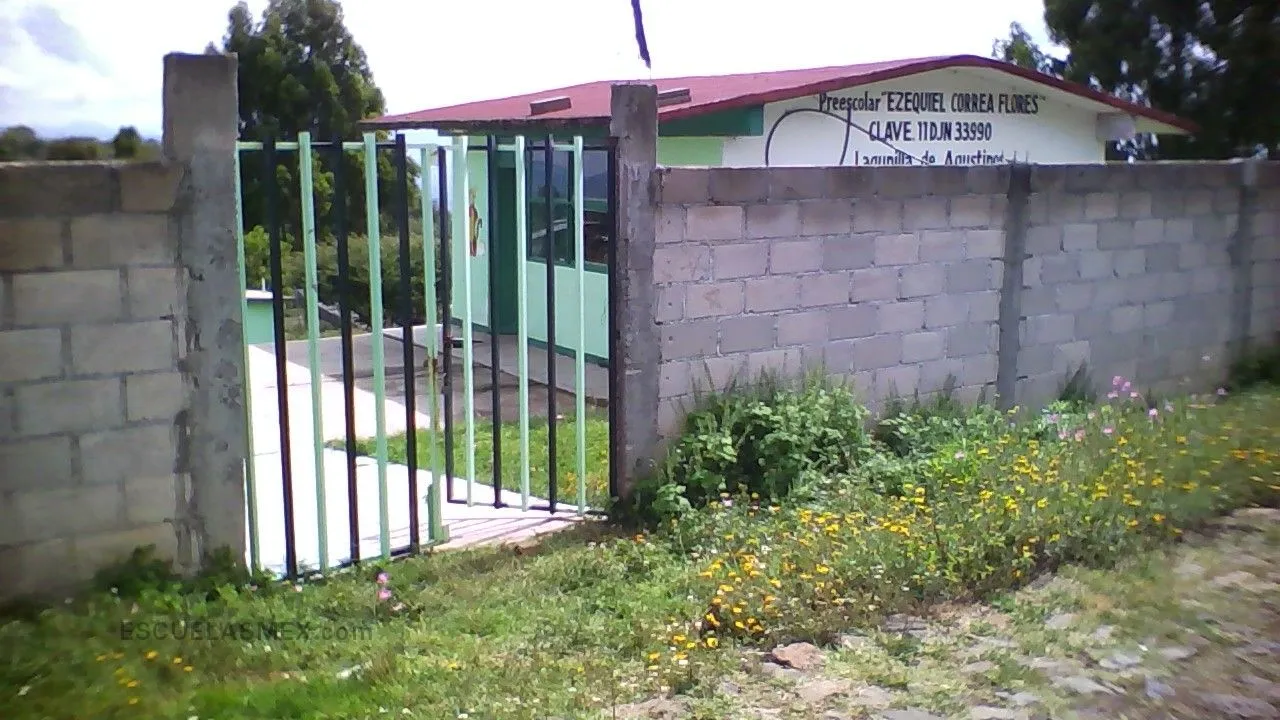 Ezequiel Correa Flores Entrada