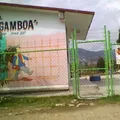 Federico Gamboa