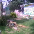 Xochilquetzal