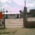 Cuicamatini