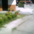 Vanguardia