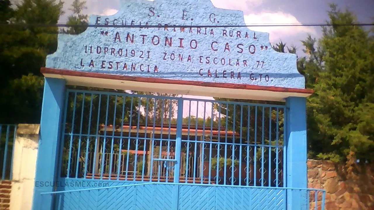Antonio Caso Entrada
