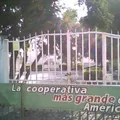 Niños Heroes