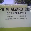 Alvaro Obregon