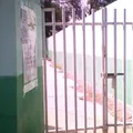 J. Guadalupe Rivas Leon