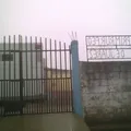 Año de Juarez