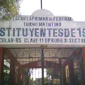Constituyentes de 1917