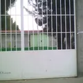Veinte de Noviembre