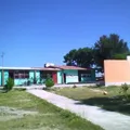 Pipila