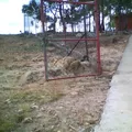 Jose Ma Morelos