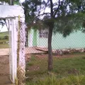 Lazaro Cardenas