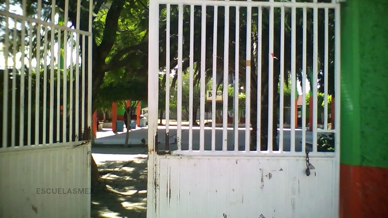 Leona Vicario Entrada