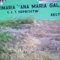 Ana Maria Gallaga